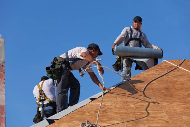 Best Gutter Installation and Roofing  in Harvey, LA